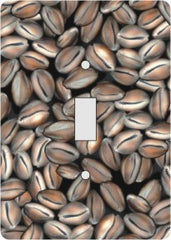 Cowrie Shells