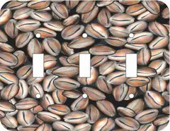 Cowrie Shells
