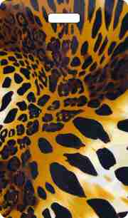 Cheetah Print