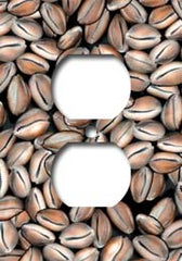 Cowrie Shells