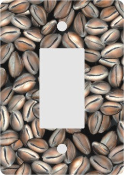 Cowrie Shells