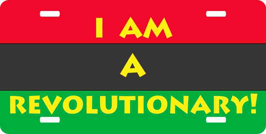 I Am A Revolutionary