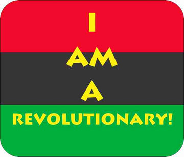 I Am A Revolutionary!