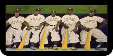 The Grays, Negro League Baseball Team