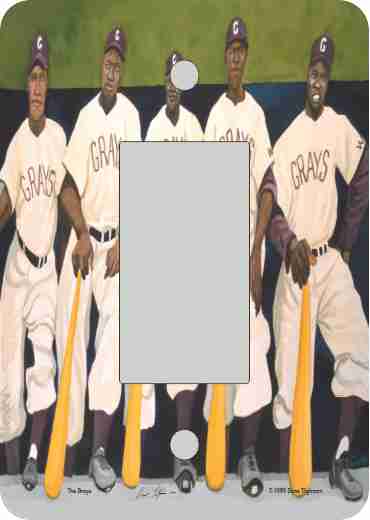 The Grays, Negro League Baseball Team