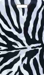 Zebra Print